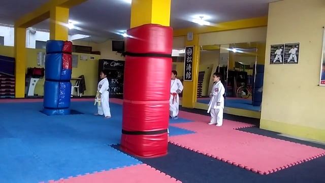 Karate 13 noviembre смотреть онлайн