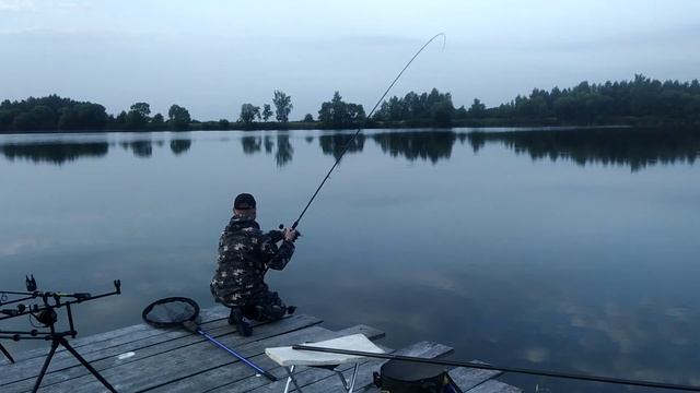 Рыбалка в Беларуси, Крево. Вываживание белого амура. смотреть онлайн