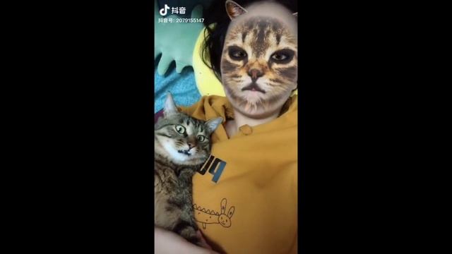 Pets hilarious reaction on TikTok filter | Funny Cat Videos 2020 смотреть онлайн