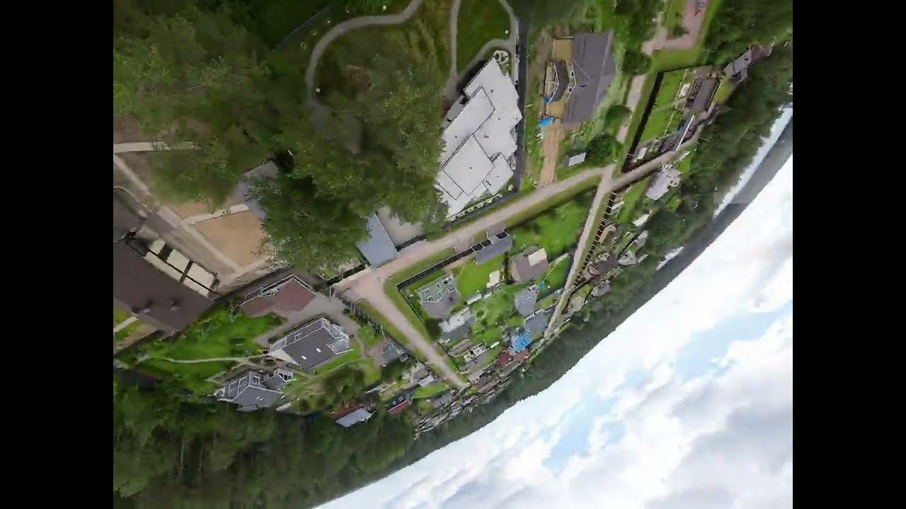 Дайв в сосны смотреть онлайн