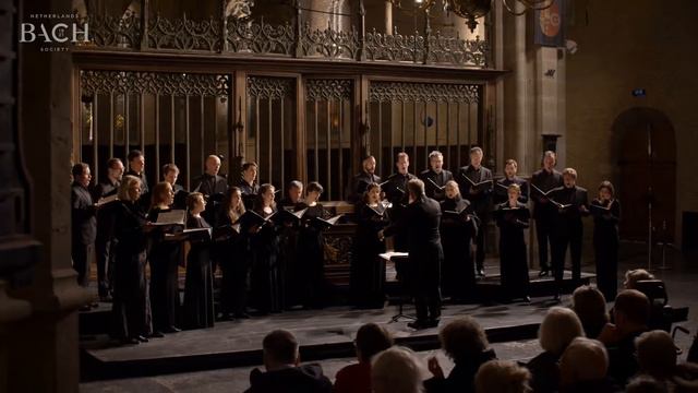 Bach - Motet Jesu, meine Freude BWV 227 - Prégardien | Netherlands Bach Society смотреть онлайн