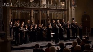 Bach - Motet Jesu, meine Freude BWV 227 - Prégardien | Netherlands Bach Society