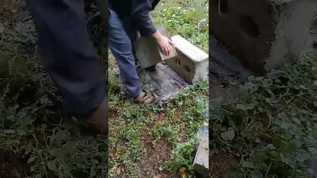 Проверка блока из опилок на прочность смотреть онлайн