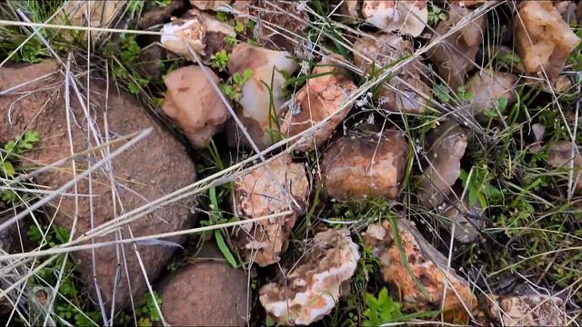 Oregon Rocks! Rockhounding Oregon | Seam Agates & Quartz Crystal Seam смотреть онлайн