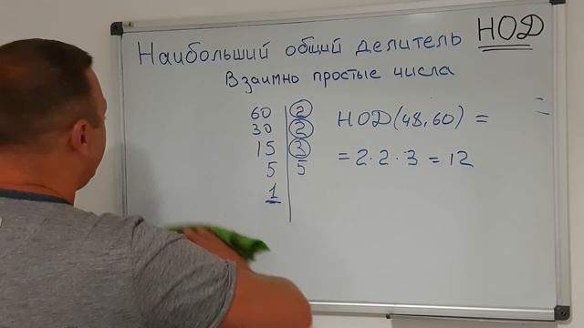 Математика 6 класс. Наибольший общий делитель. Взаимно простые числа. смотреть онлайн