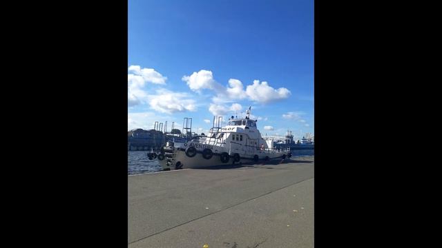 Город на Неве смотреть онлайн