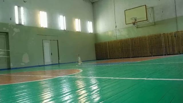 Кордовый электролет