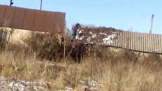 Копия видео "рокки и рыжий" смотреть онлайн