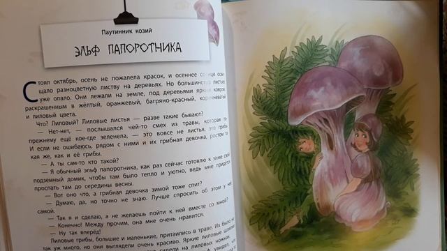 Истории сказочного леса. Лесные малыши. Паутинник козий. Эльф папоротника. смотреть онлайн
