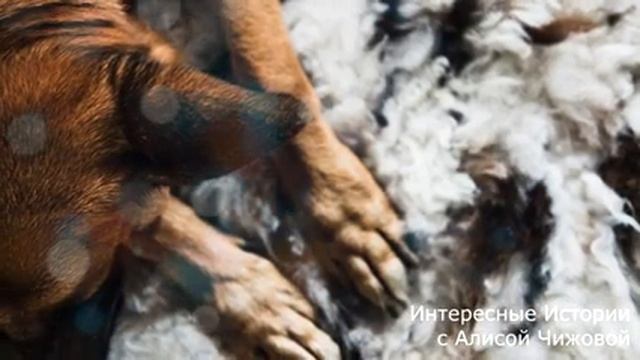 Пожалев мальчонку, мужчина отдал ему свой последний кусок хлеба, а на утро проснулся миллионером… смотреть онлайн