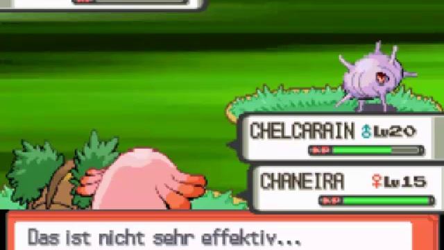 Let's Play Pokémon Perl German [8] Ewigenau смотреть онлайн