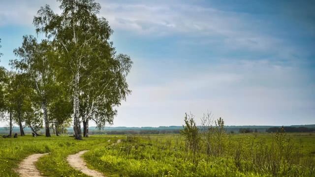 Не отчаивайтесь, оставляйте все на волю Божью. Игумен Никон(Воробьев).. смотреть онлайн