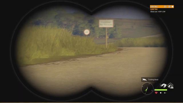 theHunter: Call of the Wild - savannah mission, Become the lion. смотреть онлайн