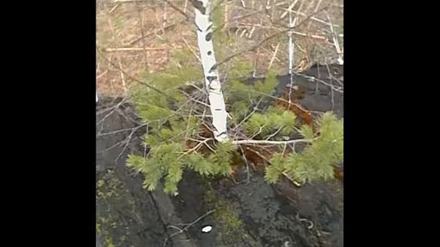 заброшенная ферма смотреть онлайн