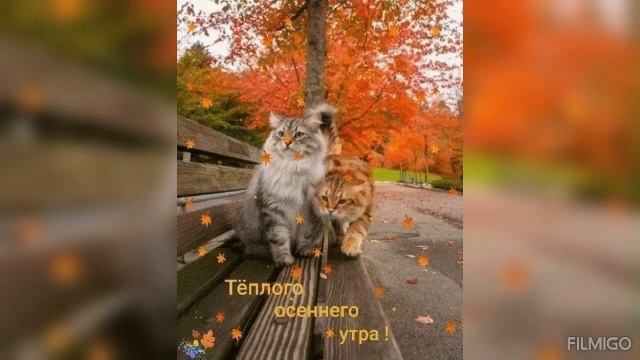 С ДОБРЫМ УТРОМ! ПОЗИТИВНОГО ВСЕМ НАСТРОЕНИЯ ! смотреть онлайн