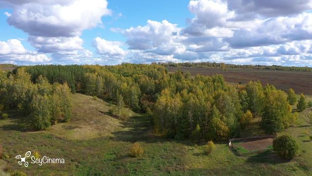 #djimavic2pro #4K #квадрокоптер #осень
Осенняя зарисовка смотреть онлайн