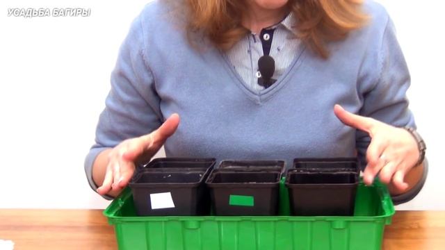 Баклажаны. Рассада. (ч.1) смотреть онлайн