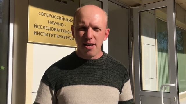 Отзыв о применении препаратов Арксойл на кукурузе смотреть онлайн