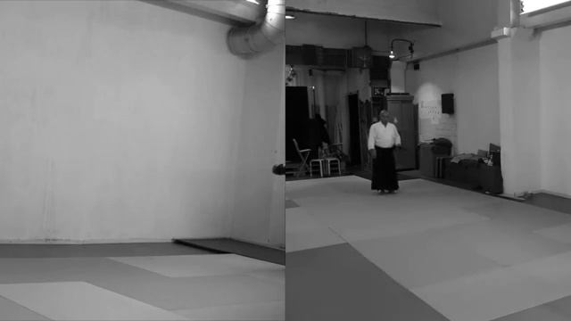 10 Aihanmi omote & katadori menuchi & yokomen uchi omote ikkyo TD TI