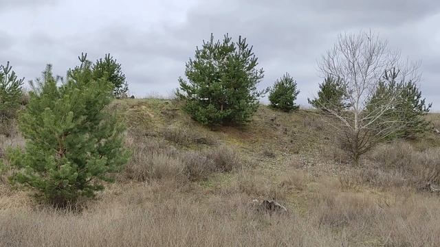 7 мая народный праздник День Елизаветы Чудотворицы. Что нельзя делать. Народные приметы и традиции смотреть онлайн