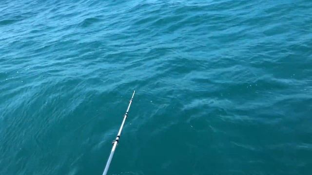 Морская рыбалка в Анапе смотреть онлайн