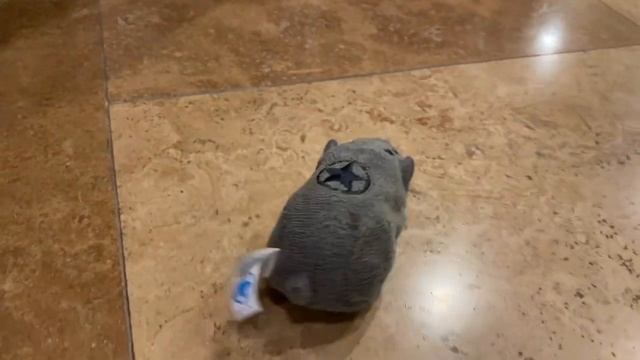 Zhu Zhu Pets - Kung Zhu - Rivet смотреть онлайн