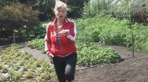 Песня "Коричневая пуговка"  20160805