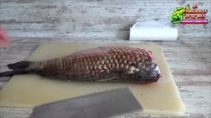 Три простых совета про чистку и разделку крупной рыбы, как просто чистить и разделать карпа, сазана
