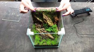 Уход за флорариумом на основе глиносмеси. Часть 1