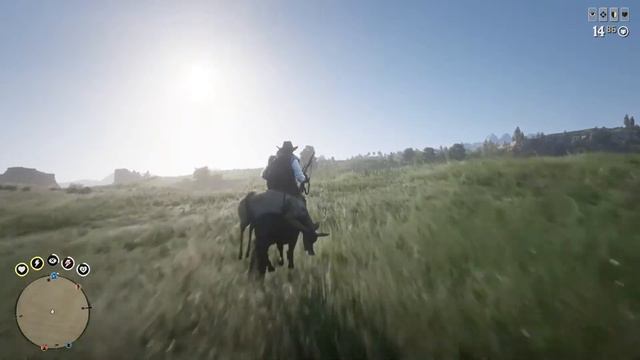 Red Dead Redemption 2 графика на PS4 Pro