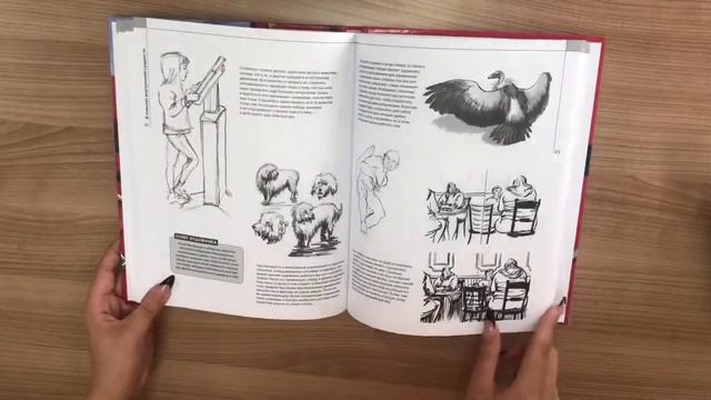 Рисование. Базовый курс для будущих художников смотреть онлайн