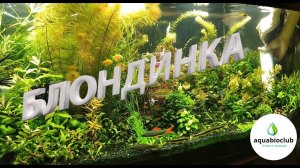 #Фильтр #блондинка #боремся с #Эвгленой. Несколько лайфхаков с блондинкой.