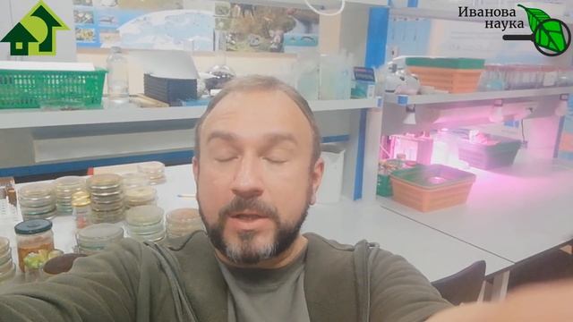 Ложка СОДЫ и все в порядке! Как помыть ВИНОГРАД, чтобы его можно было есть ДАЖЕ ДЕТЯМ. смотреть онлайн