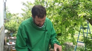 Когда откачивать мед на пасеке Как узнать что мед зрелый. Как отобрать рамки для