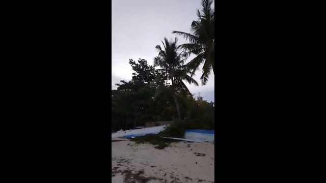 5). Филиппины, о.Панглао, Ищу пляжи. 18+