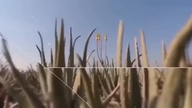 НЕОГРАНИЧЕННЫЙ ДОХОД ДЛЯ БЬЮТИ МАСТЕРОВ. смотреть онлайн