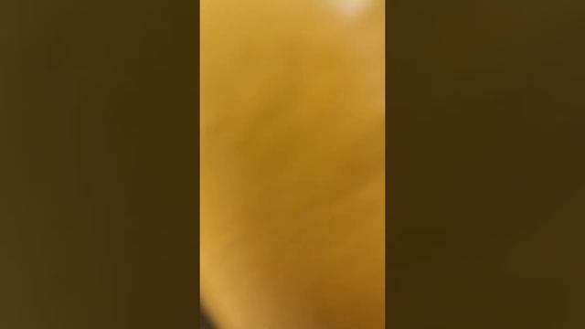 Проникновение 2.0 смотреть онлайн