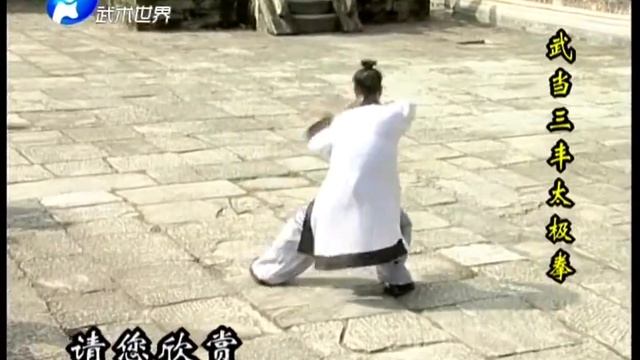 Мастер Ван Липин (王理平) демонстрирует Удан Саньфэн тайцзи цюань (武当三丰太极拳) смотреть онлайн