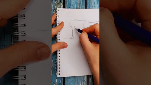 рисую лабрадора #shorts #нарисоватьсобакупросто смотреть онлайн