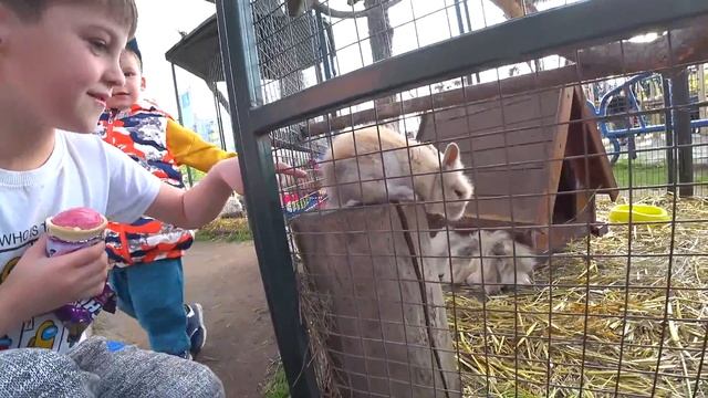 03.05.2022 г. смотреть онлайн