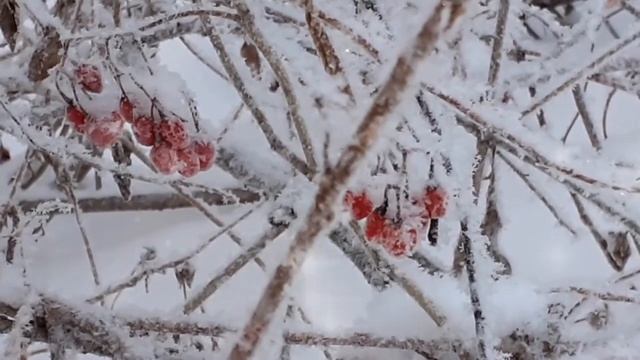 В этот Старый Новый Год пожелаю снова:Пусть Он Счастье Принесёт, Будут Все Здоровы! смотреть онлайн