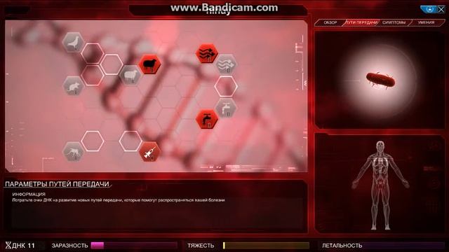 Как правильно играть в Plague Inc смотреть онлайн