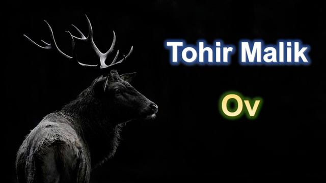 Ov. Tohir Malik. 3-trek. Audio qissa смотреть онлайн