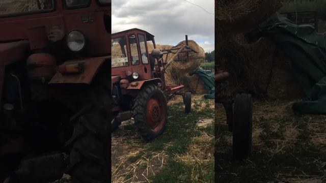 Кун на т-16 смотреть онлайн