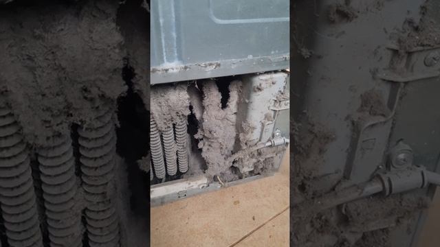 холодильник самсунг вот почему надо переодический чистить систему охлаждения. смотреть онлайн