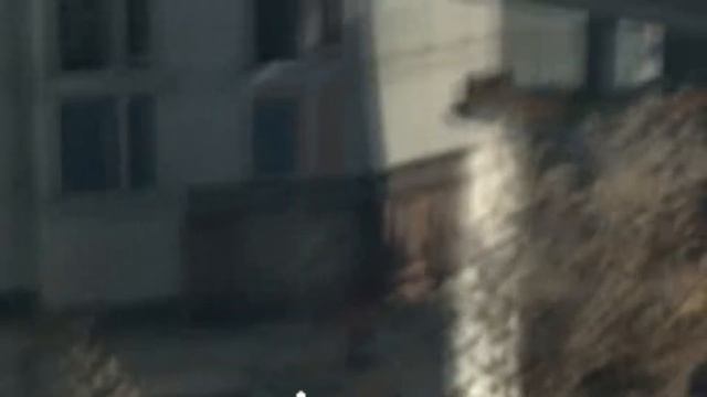 ЧЕМ ЗАНЯТЬСЯ ПОСЛЕ ПРОХОЖДЕНИЯ СЮЖЕТА DYING LIGHT 2 STAY HUMAN? смотреть онлайн
