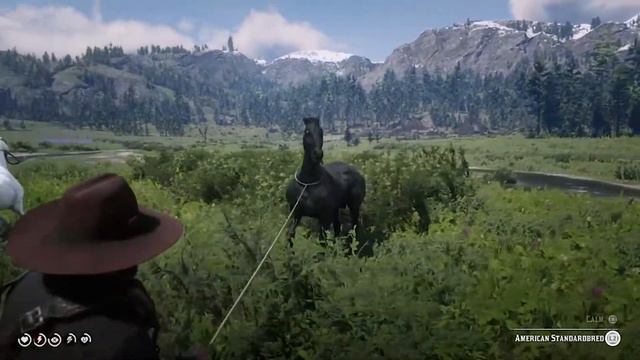 mounting 37 horses in red dead redemption 2 , most wild horses смотреть онлайн