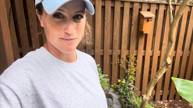 Updating The Garden For Fall | Violas, Pansies And Cabbage 🌼🥬