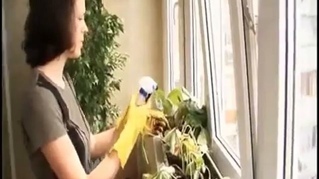 Среда обитания   Работа на дому