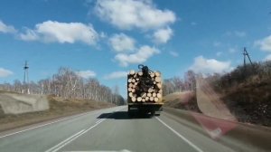 601. ПРАВДА ЖИЗНИ. СЫНОВЬЯ-ПРЕДАТЕЛИ!!! СТРАШНО!